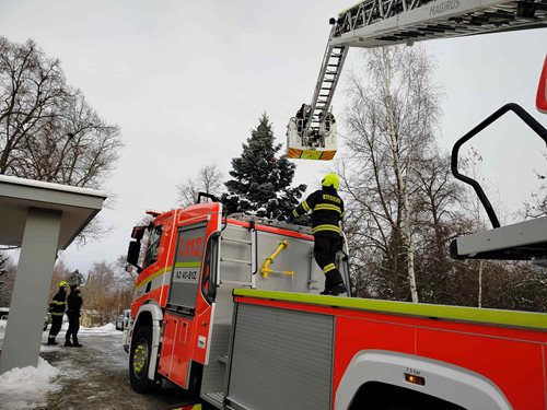 Podchlazený muž zachráněn z vrcholu stromu díky zásahu IZS