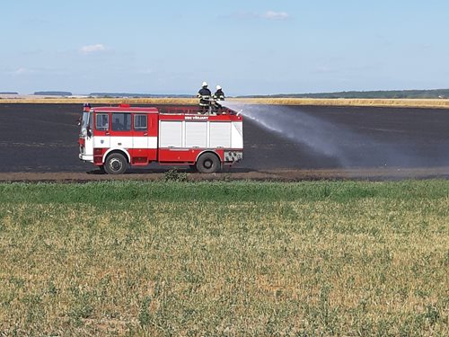 Dvanáct jednotek likvidovalo požár pole