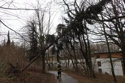 Moravskoslezští hasiči vyjížděli kvůli silnému větru i během čtvrtka