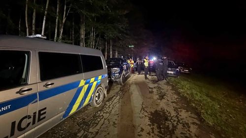 Seniorka se ztratila při houbaření. Po třech hodinách ji našli v lese