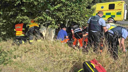 Auto sjelo ze silnice a narazilo do stromu. Zranila se řidička a čtyři děti