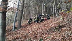 Hasiči sundávali ze stromu paraglidistku