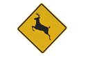 deer-crossing-2079620__340.jpg deer-crossing-2079620__340.jpg