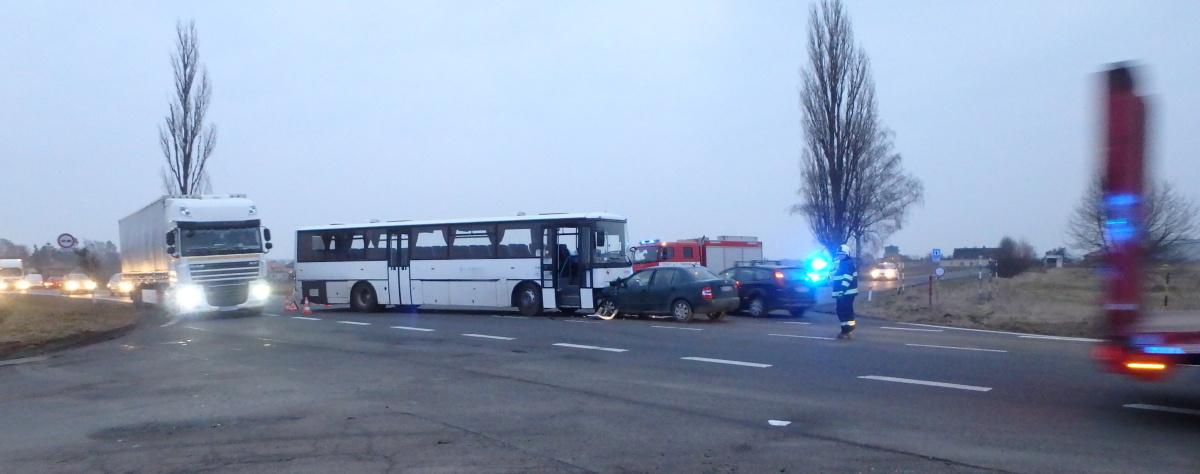 holohlav2-(1).jpg holohlav2-(1).jpg