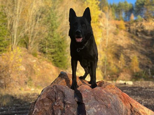 Pátrání po seniorovi skončilo záchranou života. Zimní bloudění mohlo skončit tragédií