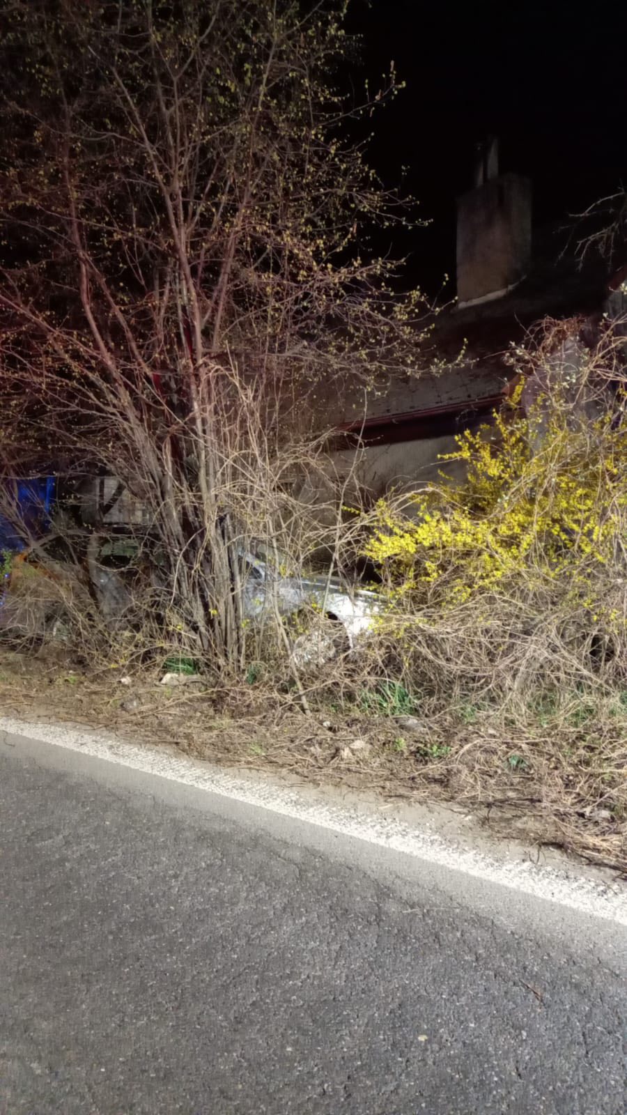 490462915_996150422703565_181239082823065124_n-(1).jpg 490462915_996150422703565_181239082823065124_n-(1).jpg