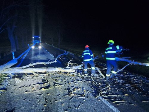 Silný vítr zaměstnal hasiče: Desítky stromů blokovaly silnice, auto narazilo do spadaného kmene