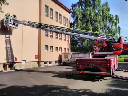 Kdy zasahují hasiči při výskytu hmyzích rojů?