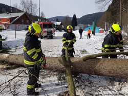 Hasiči v Královéhradeckém kraji řešili během víkendu 285 událostí, většinou odstraňovali spadlé stromy 