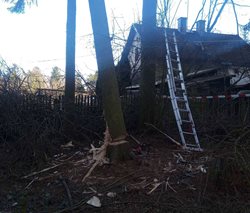 Odstranění stromu a požár domu v jeden čas na jedné adrese