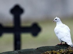 Uctění památky nprap. Jiřího Rýznara se připojili i hasiči na stanicích v Plzeňském kraji.
