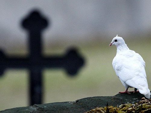 Uctění památky nprap. Jiřího Rýznara se připojili i hasiči na stanicích v Plzeňském kraji.