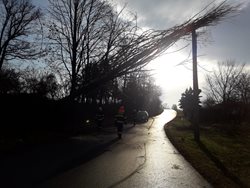 Silný vítr zaměstnal hasiče i ve Středočeském kraji