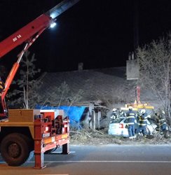 Centimetry od katastrofy: Noční jízda skončila v houští stromů