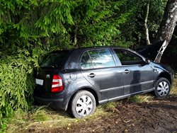 U Malé Losenice narazila řidička s osobním vozidlem do stromu