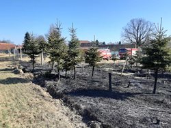 U obce Cetoraz hořely stromky v lesní školce, škoda se vyšplhala na 750 tisíc korun