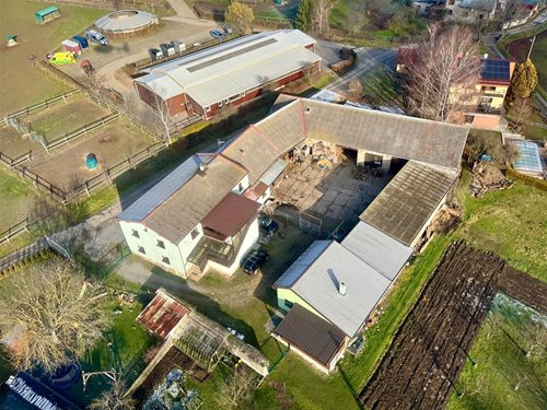 Tragické zranění při práci se zvířetem: Koněm kopnutá žena bojovala o vědomí