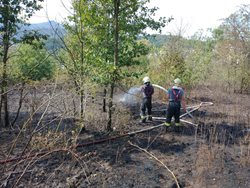Požár porostu v Ústí nad Labem - Neštěmicích