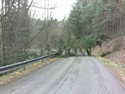 Hasiči v Pardubickém kraji odstraňovali následky silného větru