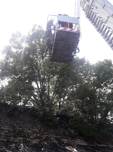 Prasklá vysoká lípa ohrožovala obyvatele
