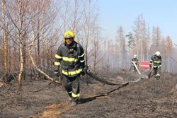 Požáry lesního a travního porostu zaměstnávají hasiče v Olomouckém kraji