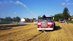Pět jednotek hasičů likvidovalo požár u obce Běstovice