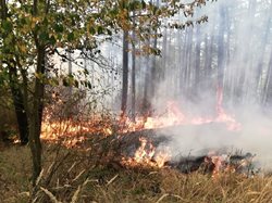 Rozsáhlý požár na Berounsku likvidovaly ve třetím stupni i dva vrtulníky FOTOGALERIE