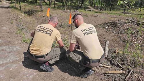 Pyrotechnici našli v parku protitankovou minu