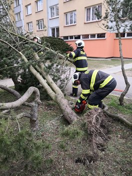 ViewImage-(7).jpg