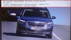 Policajti nemohli uvěřit svým očím. Auto řídil pes