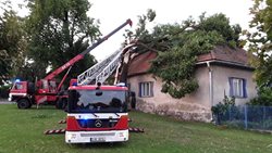 Hasiči na Vysočině odstraňovali popadané stromy. Na Žďársku spadl strom na rodinný dům