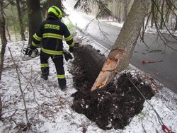 Vítr vyvracel stromy na území celého Zlínského kraje. Poškodil i střechu v Otrokovicích.