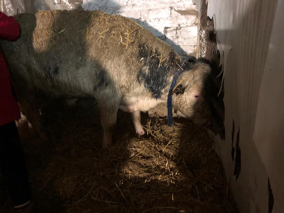 ViewImage-(3).jpg ViewImage-(3).jpg