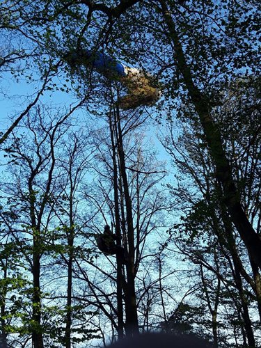 Hasiči zachraňovali paraglidistu