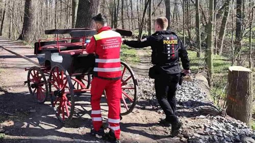 Jízda na povozu skončila těžkým zraněním