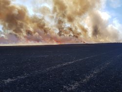 Na Mělnicku 15 jednotek hasičů s 24.vozidly likvidovalo rozsáhlý požár pole s pšenicí  FOTOGALERIE