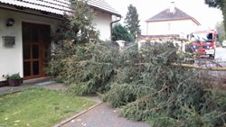 Aktualizace Extrémně silný vítr zasáhl i Pardubický kraj 