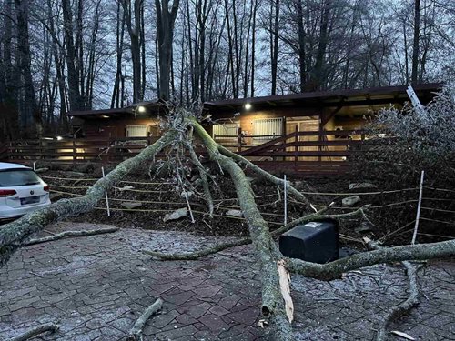 Počasí zvyšuje riziko pádů stromů a přináší zásadní nebezpečí