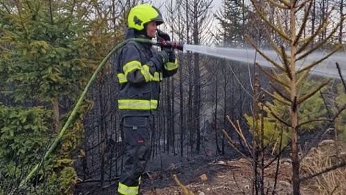  Zapaloval lesy i seníky. Policistům řekl, že tak utíkal před svými problémy