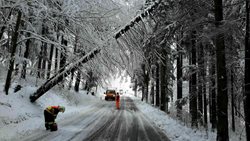 Jeseničtí hasiči odstraňují popadané stromy