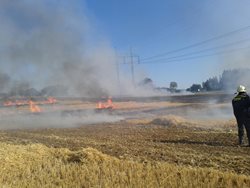 Meteorologové varují před horkem, hasiči před požáry v přírodním prostředí