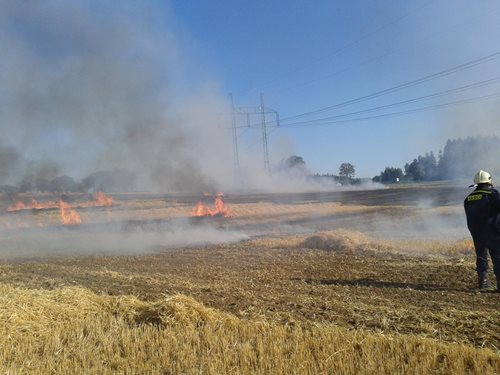 Meteorologové varují před horkem, hasiči před požáry v přírodním prostředí