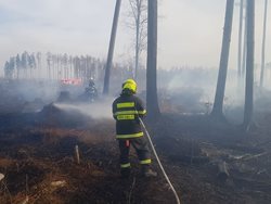 Dva velké lesní požáry řešily jednotky na Olomoucku a Přerovsku
