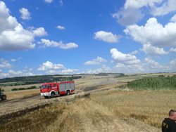 Požár 15 hektarů obilí na česko-polské hranici likvidovalo osm jednotek hasičů