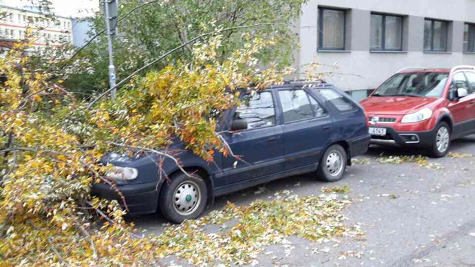 ViewImage-(21).jpg