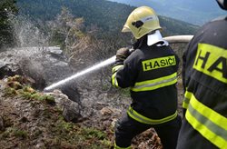    Hasiče zaměstnávají lesní požáry a popadané stromy