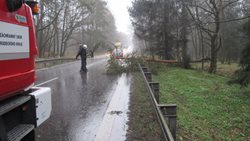Silný vítr v Královéhradeckém kraji lámal stromy. Hasiči zasahovali u sedmdesáti událostí