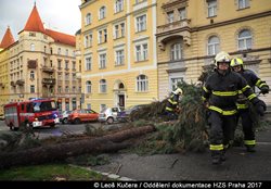 Pražští hasiči zasahovali kvůli silnému větru u více než čtyř stovek případů