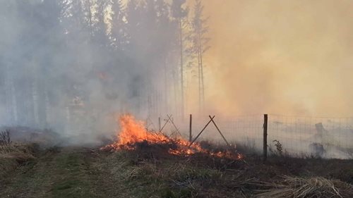 Rozsáhlý požár zaměstnal hasiče v terénu