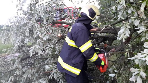 Tropické dny zchladila v Jihočeském kraji noční bouřka, hasiči měli více než 70 výjezdů